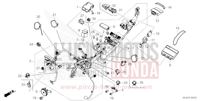 WIRE HARNESS for Hornet 750 MAT PEARL GLARE WHITE (NHB54) from 2025